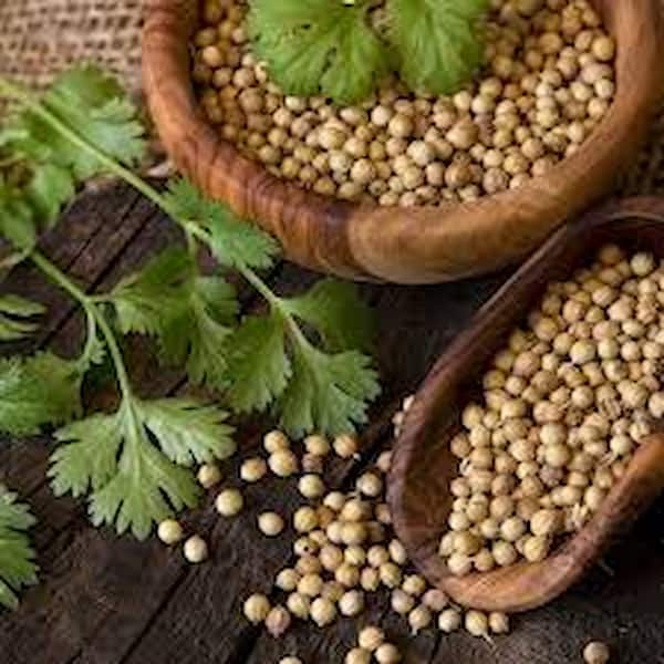 قیمت تخم گشنیز خشک شده با کیفیت ارزان + خرید عمده